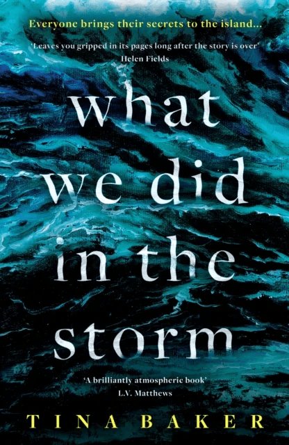 What We Did In The Storm av Tina Baker