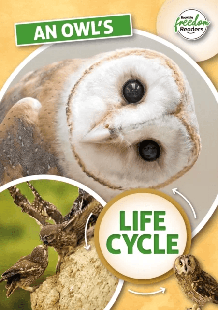An Owl's Life Cycle av Madeline Tyler