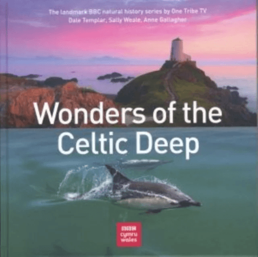 Wonders of the Celtic Deep av Dale Templar, Sally Weale, Anne Gallagher