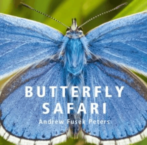 Butterfly Safari av Andrew Fusek Peters