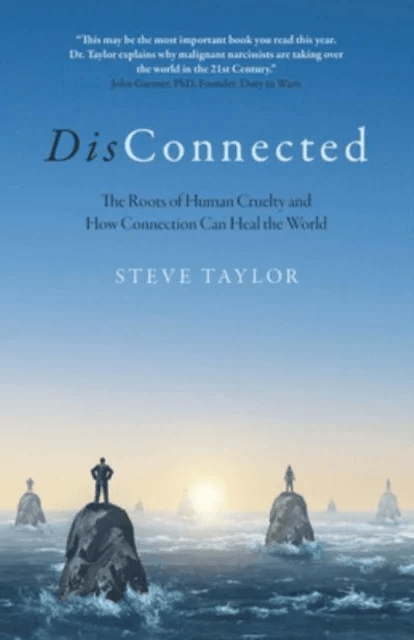 DisConnected av Steve Taylor