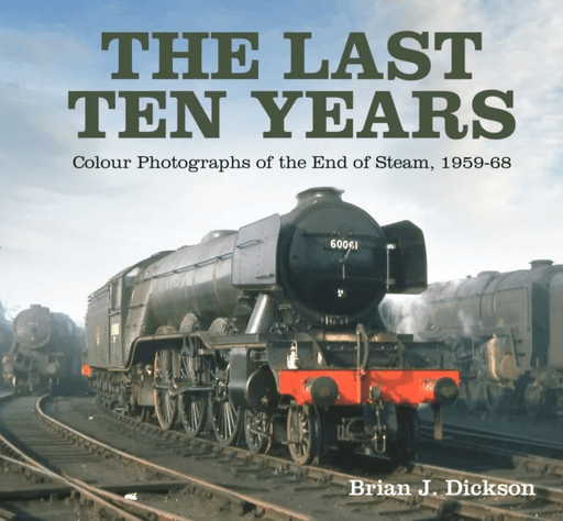 The Last Ten Years av Brian J. Dickson