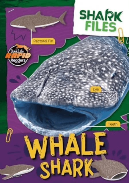 Whale Shark av Robin Twiddy