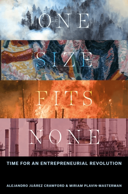 One Size Fits None av Miriam (Worcester State University USA) Plavin-Masterman, Alejandro Juarez (Democratizing Innovation Institute USA) Crawford