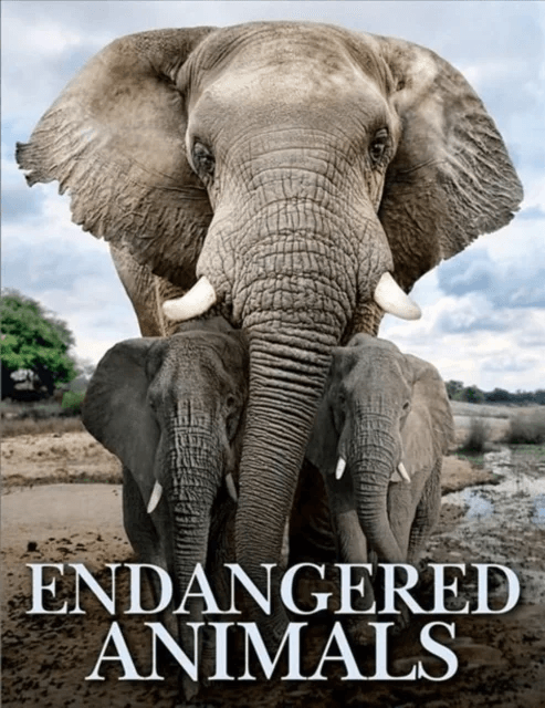 Endangered Animals av Tom Jackson