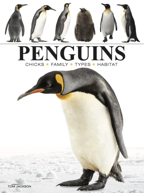 Penguins av Tom Jackson