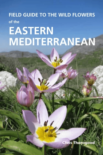 Field Guide to the Wild Flowers of the Eastern Mediterranean av Chris Thorogood