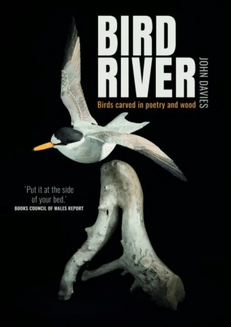 Bird River av John Davies
