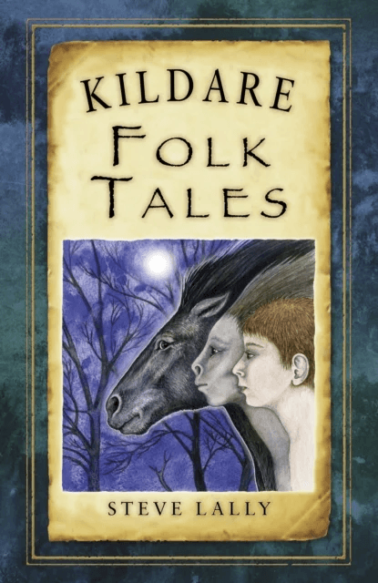 Kildare Folk Tales av Steve Lally