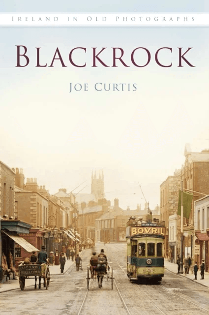 Blackrock av Joe Curtis