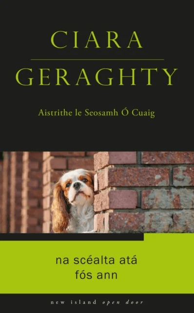 Na Scealta Ata Fos Ann av Ciara Geraghty