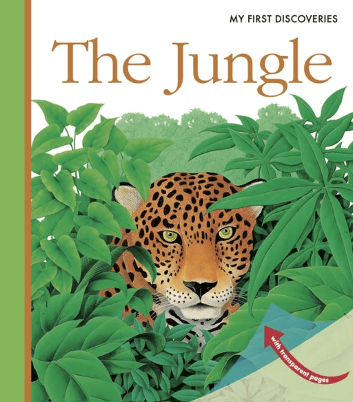 The Jungle av Rene Mettler