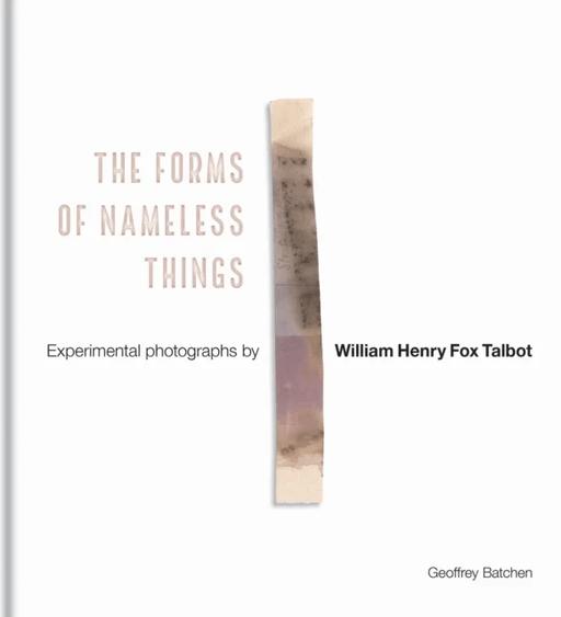 The Forms of Nameless Things av Geoffrey Batchen