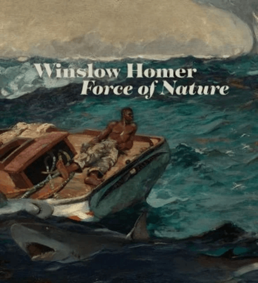 Winslow Homer av Christopher Riopelle, Christine Riding, Chiara Di Stefano