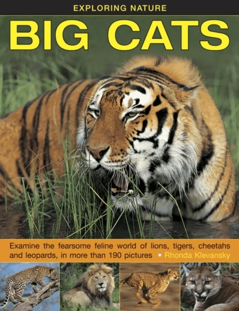 Exploring Nature: Big Cats av Rhonda Klevansky