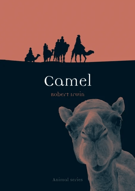 Camel av Robert Irwin