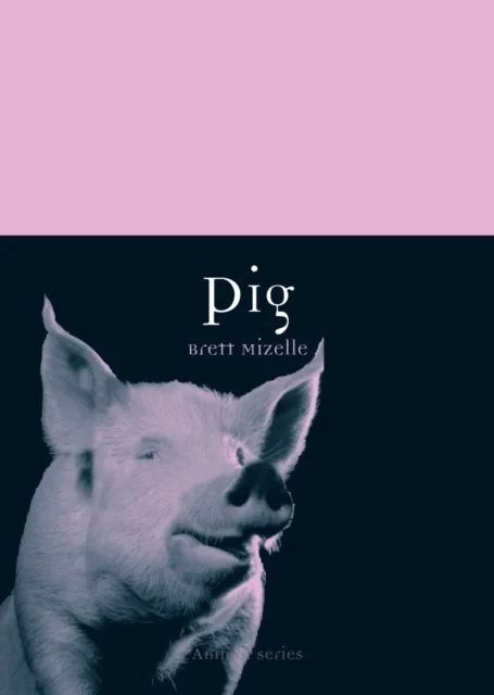 Pig av Brett Mizelle