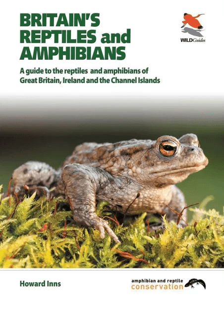 Britain`s Reptiles and Amphibians av Howard Inns, Chris Packham