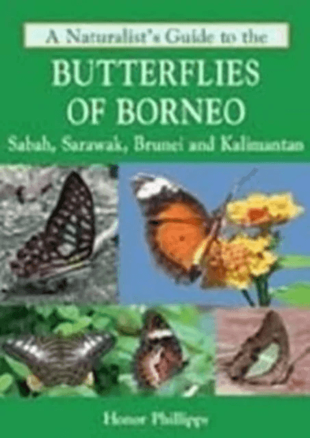 A Naturalist's Guide to the Butterflies of Borneo av Honor Phillipps