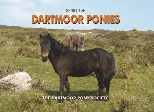 Spirit of Dartmoor Ponies av Dartmoor Pony Society