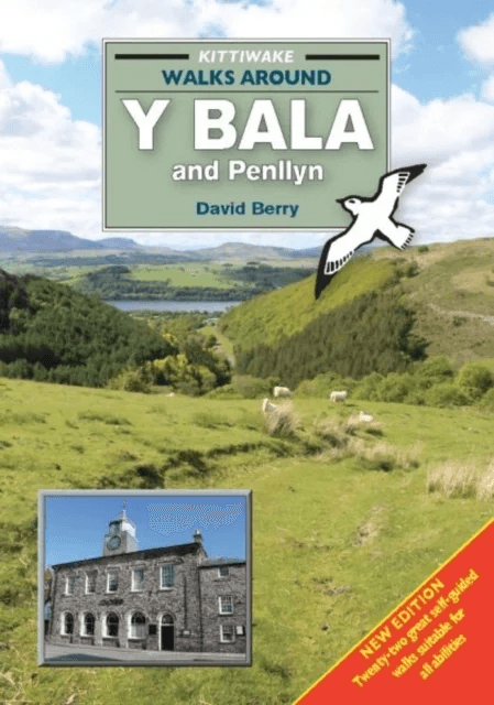 Walks Around y Bala and Penllyn av David Berry
