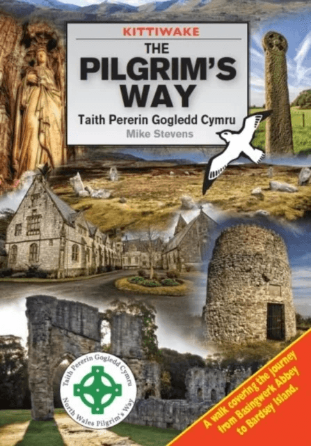 Pilgrim's Way, The av Mike Stevens