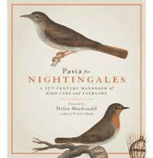 Pasta For Nightingales av Royal Collection Trust