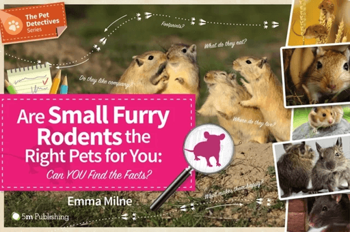 Are Small Furry Rodents the Right Pets for You: Can You Find the Facts? av Emma Milne