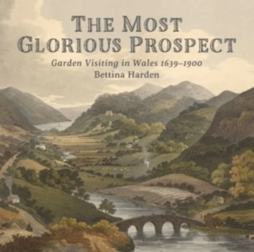 The Most Glorious Prospect av Bettina Harden