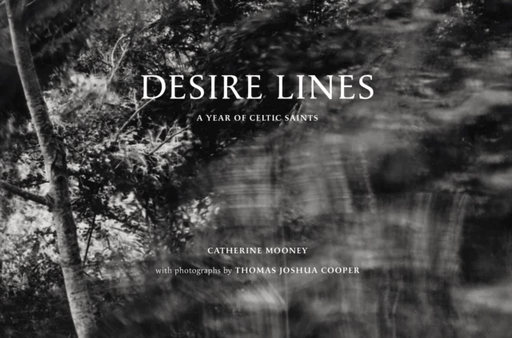 Desire Lines av Thomas Joshua Cooper, Catherine Mooney, Anne Lyden