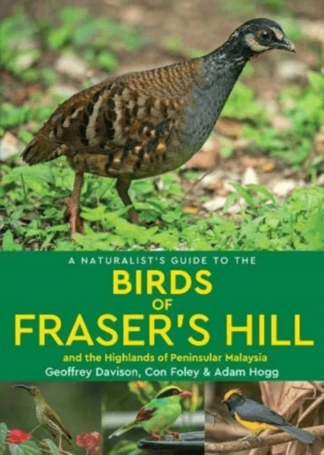 A Naturalist's Guide to the Birds of Fraser's Hill &amp; the Highlands of Peninsular Malaysia av Geoffrey Davison
