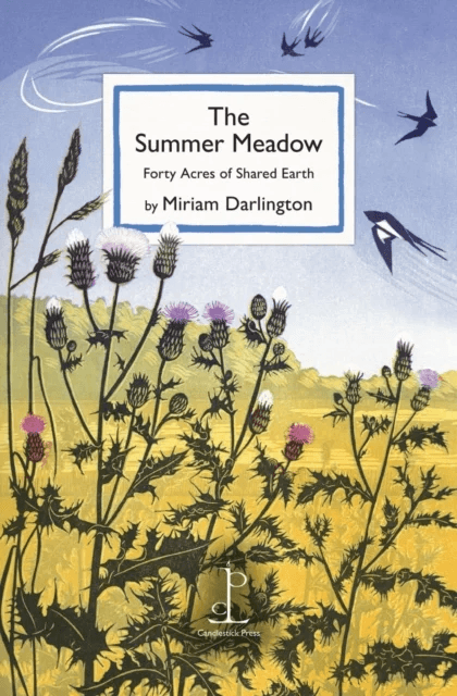 The Summer Meadow av Miriam Darlington