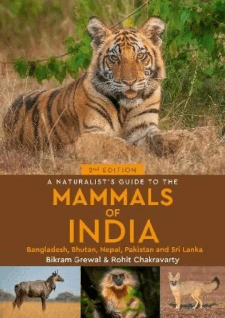 A Naturalist's Guide to the Mammals of India av Rohit Chakravarty