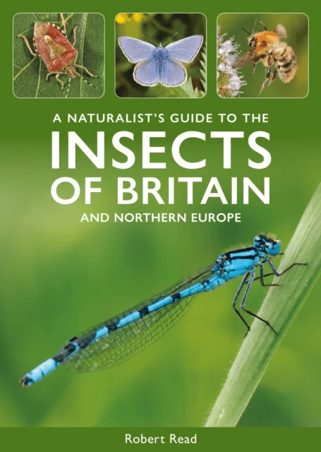 A Naturalist's Guide to the Insects of Britain and Northern Europe av Robert Read