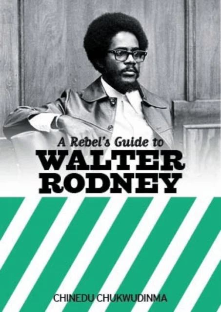 A Rebel's Guide To Walter Rodney av Chinedu Chukwudinma