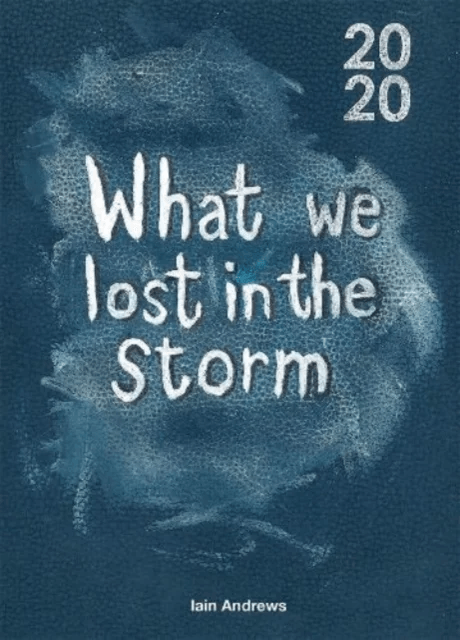 What We Lost In The Storm av Iain Andrews