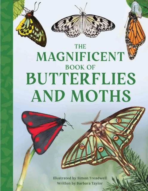 The Magnificent Book of Butterflies and Moths av Barbara Taylor
