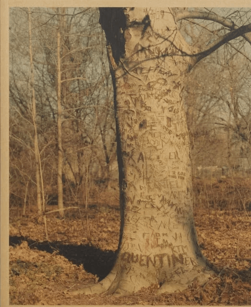 Common Place av Scott Rossi