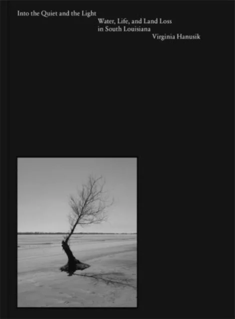 Into the Quiet and the Light av Virginia Hanusik