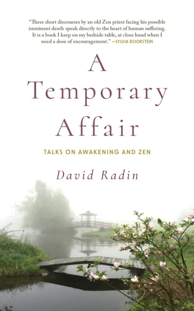A Temporary Affair av David Radin