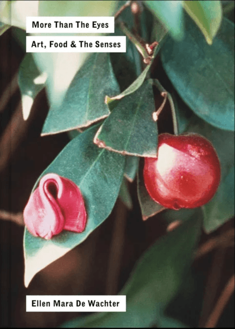 More Than the Eyes av Ellen Mara De Wachter