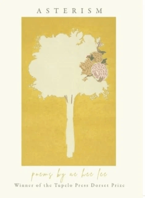 Aram's Notebook av Maria Angels Anglada