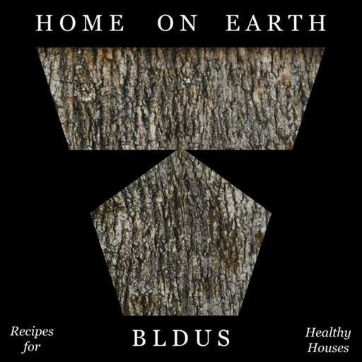 Home on Earth av Andrew Linn