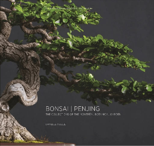 Bonsai / Penjing av Danielle Ouellet