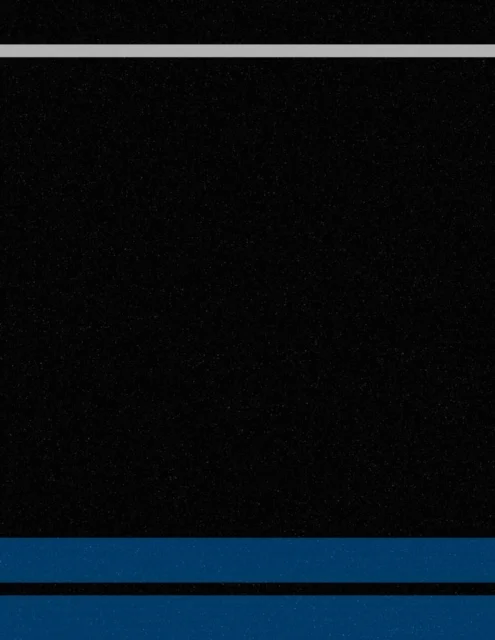 Ugo Rondinone av Phong Bui, Bob Nickas