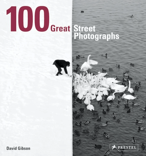 100 Great Street Photographs av David Gibson