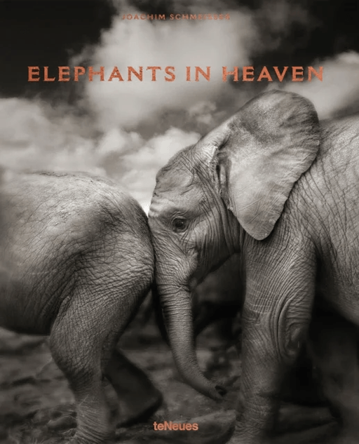 Elephants in Heaven av Joachim Schmeisser