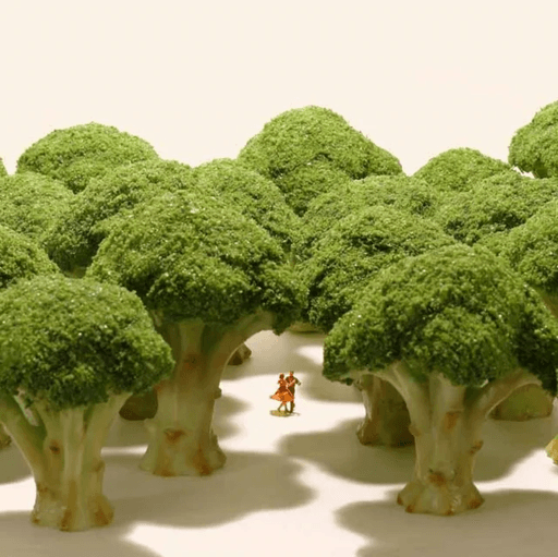 Small Wonders: Life Portrait in Miniature av Tatsuya Tanaka