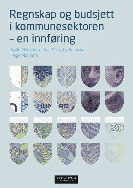 Regnskap og budsjett i kommunesektoren av Levi Gårseth-Nesbakk, Helge Mauland, Frode Mellemvik