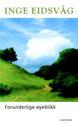 Forunderlige øyeblikk av Inge Eidsvåg